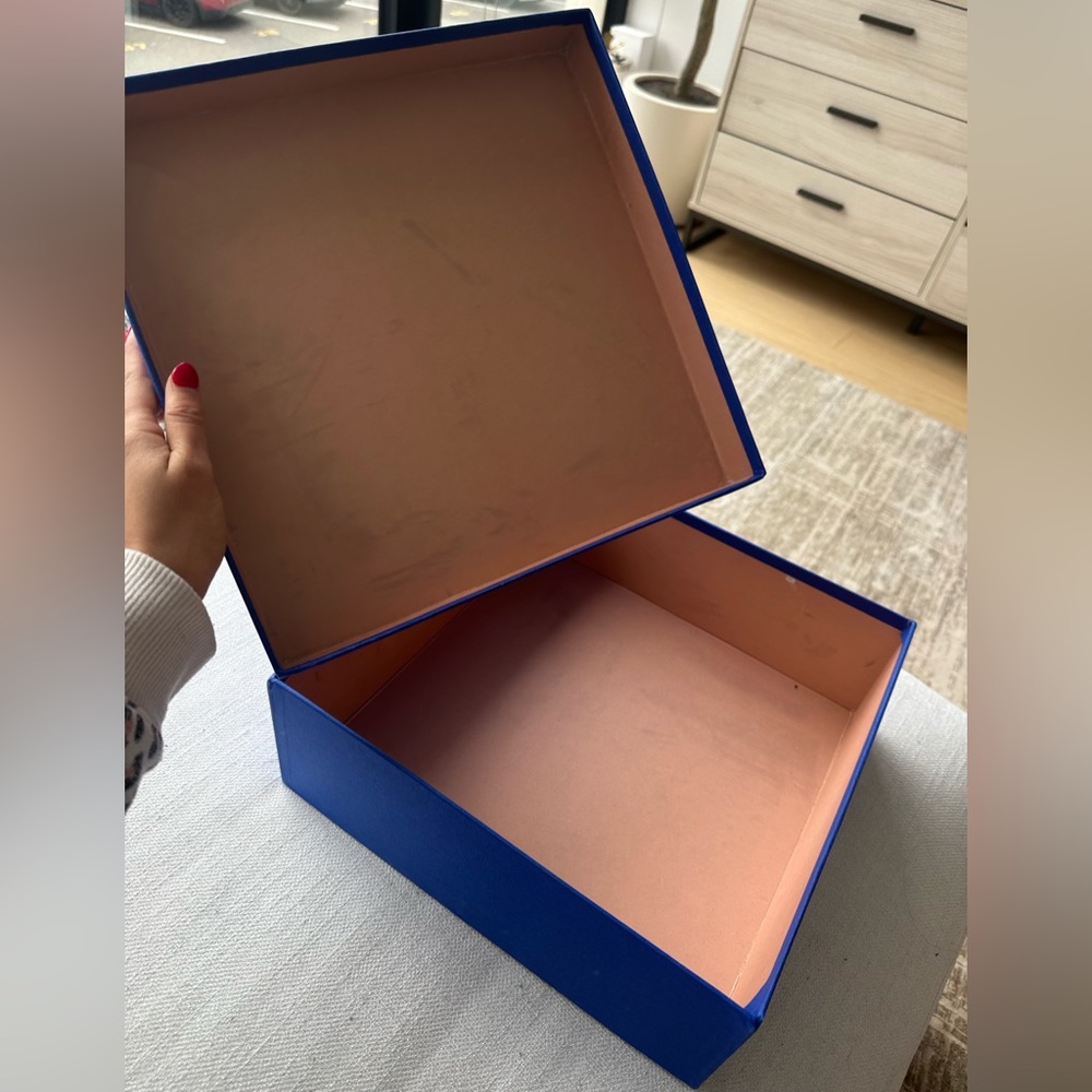 Stuart Weitzman Box - image 2